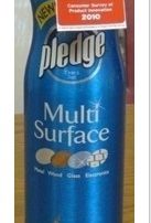 Product of the Year Pledge Multi Surface